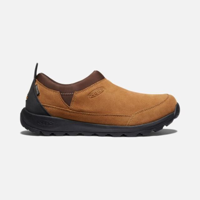 Keen Men's Glieser Waterproof Moc-Golden Brown/Chestnut