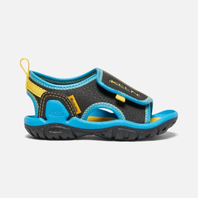 Keen Toddlers' Knotch River Open-Toe Sandal-Black/Vivid Blue