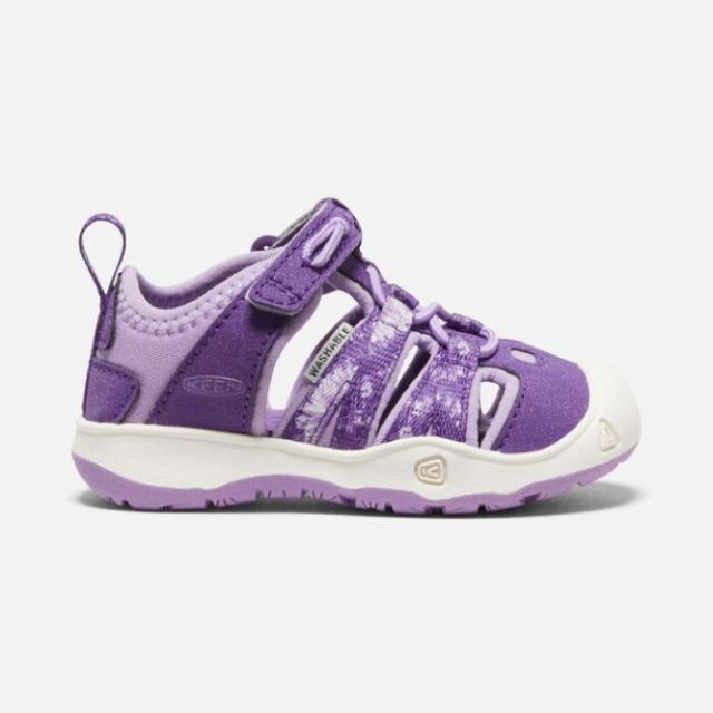 Keen Toddlers' Moxie Sandal-Multi/English Lavender